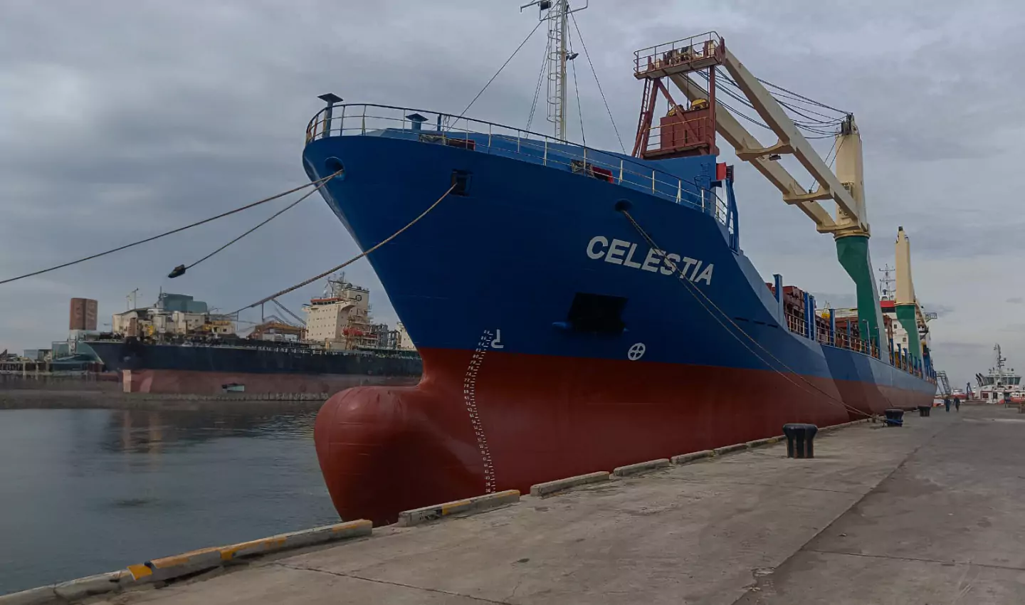 Sea Cargo Services/Ocean Freight