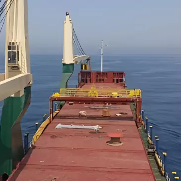 Ocean Freight